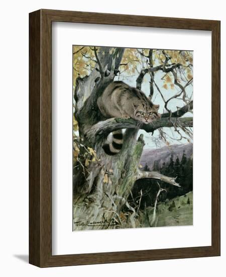 Wildcat in a Tree, 1902-Wilhelm Kuhnert-Framed Giclee Print