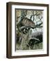 Wildcat in a Tree, 1902-Wilhelm Kuhnert-Framed Giclee Print