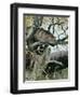 Wildcat in a Tree, 1902-Wilhelm Kuhnert-Framed Giclee Print