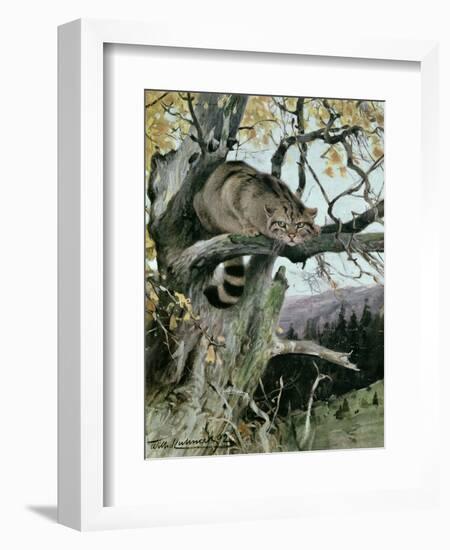 Wildcat in a Tree, 1902-Wilhelm Kuhnert-Framed Giclee Print