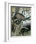 Wildcat in a Tree, 1902-Wilhelm Kuhnert-Framed Giclee Print