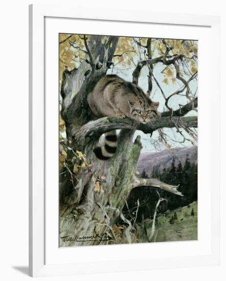 Wildcat in a Tree, 1902-Wilhelm Kuhnert-Framed Giclee Print