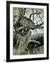 Wildcat in a Tree, 1902-Wilhelm Kuhnert-Framed Giclee Print