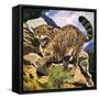 Wildcat-G. W Backhouse-Framed Stretched Canvas