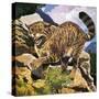 Wildcat-G. W Backhouse-Stretched Canvas
