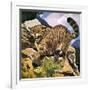 Wildcat-G. W Backhouse-Framed Giclee Print