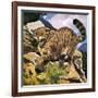 Wildcat-G. W Backhouse-Framed Giclee Print