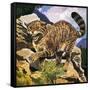 Wildcat-G. W Backhouse-Framed Stretched Canvas