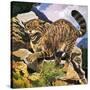 Wildcat-G. W Backhouse-Stretched Canvas