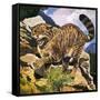 Wildcat-G. W Backhouse-Framed Stretched Canvas