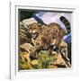 Wildcat-G. W Backhouse-Framed Giclee Print