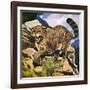 Wildcat-G. W Backhouse-Framed Giclee Print