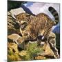 Wildcat-G. W Backhouse-Mounted Giclee Print
