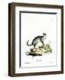 Wildcat-null-Framed Giclee Print