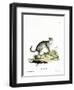 Wildcat-null-Framed Giclee Print