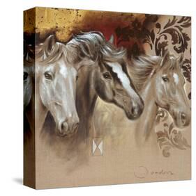 Wilde Elegance-Joadoor-Stretched Canvas