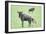 Wildebeest and Calf-DLILLC-Framed Photographic Print