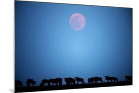 Wildebeest at Moonrise in Masai Mara National Reserve-Paul Souders-Mounted Photographic Print