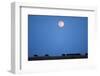 Wildebeest Below Full Moon in Masai Mara National Reserve-Paul Souders-Framed Photographic Print