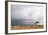 Wildebeest (Connochaetes Taurinus), Masai Mara, Kenya, East Africa, Africa-Sergio Pitamitz-Framed Photographic Print