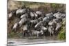 Wildebeest Crossing the River Mara, Masai Mara, Kenya-Sergio Pitamitz-Mounted Photographic Print