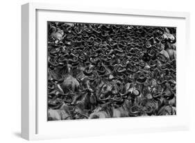 Wildebeest In Crossing-Jun Zuo-Framed Giclee Print