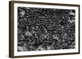 Wildebeest In Crossing-Jun Zuo-Framed Giclee Print