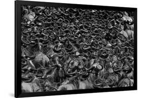 Wildebeest In Crossing-Jun Zuo-Framed Giclee Print