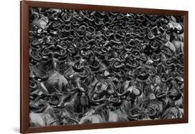 Wildebeest In Crossing-Jun Zuo-Framed Giclee Print