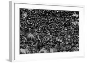 Wildebeest in Crossing-Jun Zuo-Framed Photographic Print