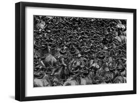 Wildebeest in Crossing-Jun Zuo-Framed Photographic Print