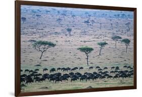 Wildebeest in Masai Mara National Reserve-Paul Souders-Framed Photographic Print