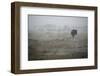 Wildebeest in Rain Storm in Masai Mara National Reserve-Paul Souders-Framed Photographic Print