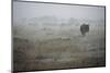 Wildebeest in Rain Storm in Masai Mara National Reserve-Paul Souders-Mounted Photographic Print