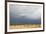 Wildebeest, Masai Mara, Kenya-Sergio Pitamitz-Framed Photographic Print