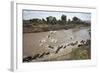 Wildebeest Migration in Masai Mara, Kenya-null-Framed Photographic Print