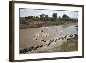 Wildebeest Migration in Masai Mara, Kenya-null-Framed Photographic Print