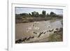 Wildebeest Migration in Masai Mara, Kenya-null-Framed Photographic Print