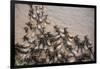 Wildebeest Migration, Masai Mara Game Reserve, Kenya-null-Framed Photographic Print