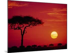 Wildebeest Migration, Masai Mara, Kenya-Dee Ann Pederson-Mounted Photographic Print