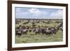 Wildebeest migration, Serengeti National Park, Tanzania, Africa-Adam Jones-Framed Photographic Print