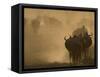 Wildebeest Migration, Tanzania-Charles Sleicher-Framed Stretched Canvas