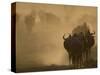 Wildebeest Migration, Tanzania-Charles Sleicher-Stretched Canvas