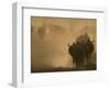 Wildebeest Migration, Tanzania-Charles Sleicher-Framed Photographic Print