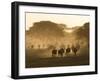 Wildebeest Migration, Tanzania-Charles Sleicher-Framed Photographic Print