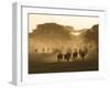 Wildebeest Migration, Tanzania-Charles Sleicher-Framed Photographic Print