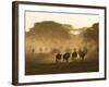 Wildebeest Migration, Tanzania-Charles Sleicher-Framed Photographic Print