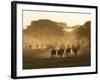 Wildebeest Migration, Tanzania-Charles Sleicher-Framed Photographic Print