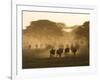 Wildebeest Migration, Tanzania-Charles Sleicher-Framed Photographic Print