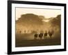 Wildebeest Migration, Tanzania-Charles Sleicher-Framed Photographic Print